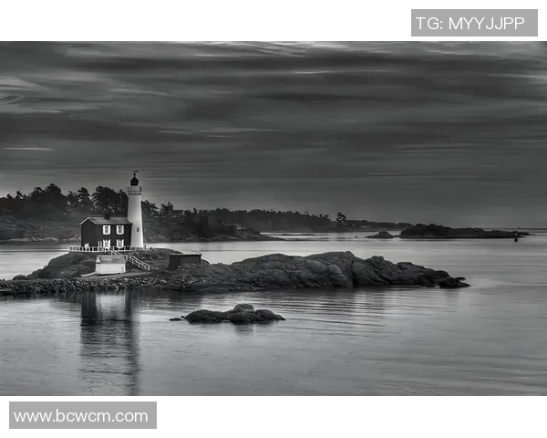 亚当斯的传奇人生与不朽成就探索之旅